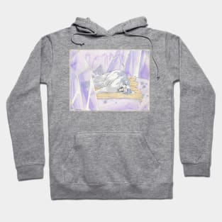 February - Amethyst Cat Hoodie